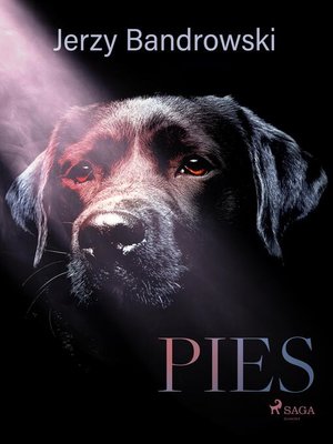 cover image of Pies